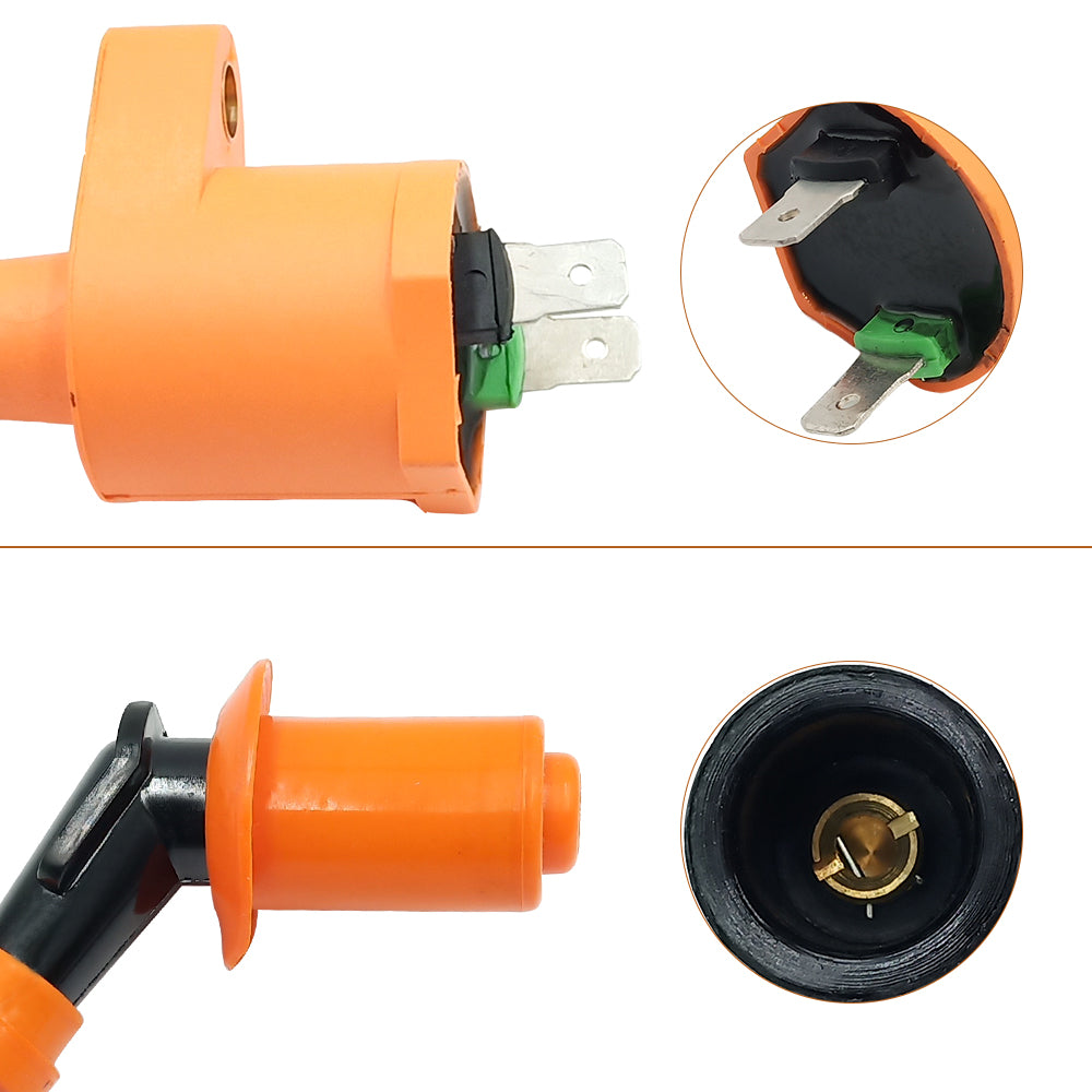 Triumilynn Ignition Coil for Honda TRX300 FOURTRAX 300 1988-2000 Replace 30510-HM5-670 4X4 2x4