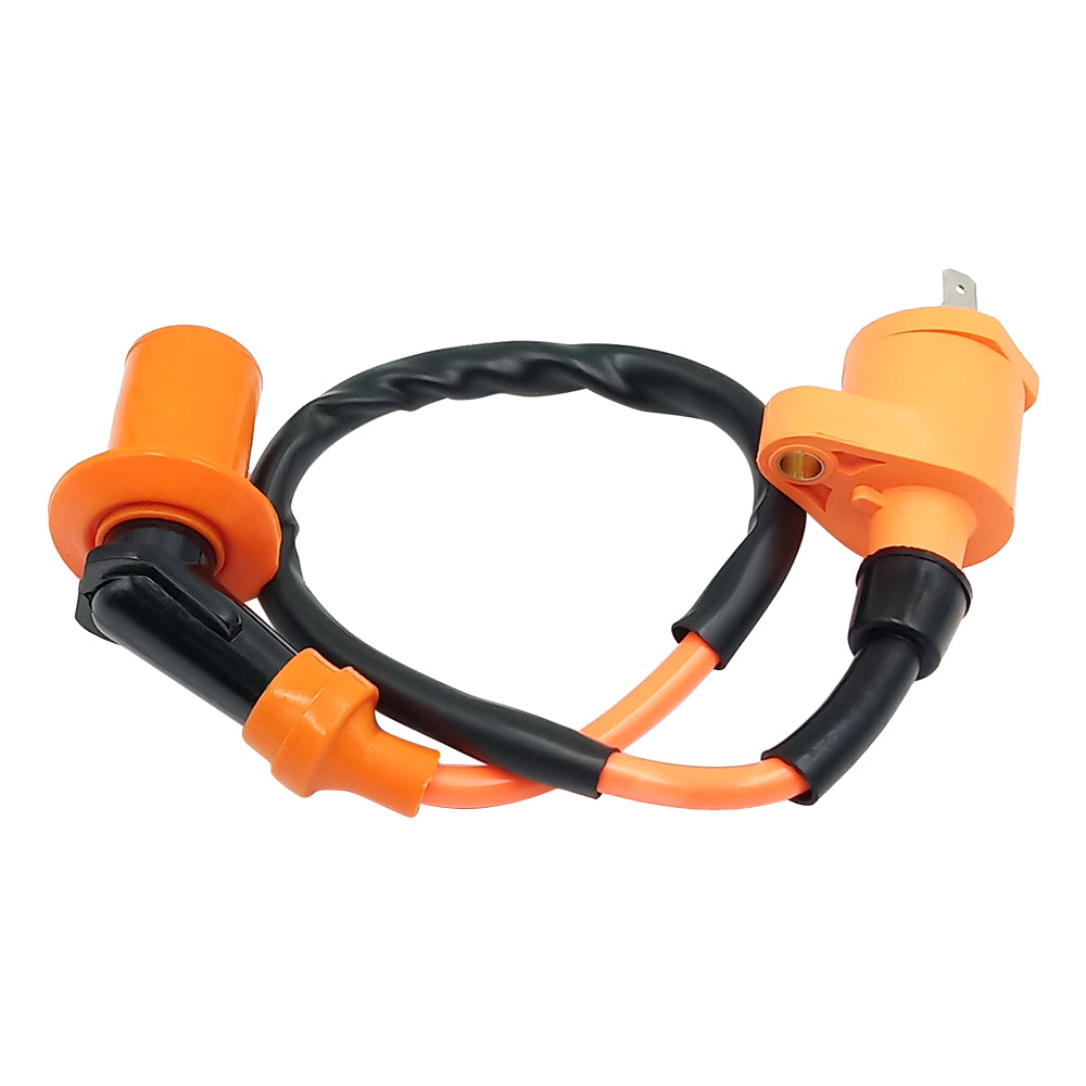 Triumilynn Ignition Coil for Honda TRX300 FOURTRAX 300 1988-2000 Replace 30510-HM5-670 4X4 2x4