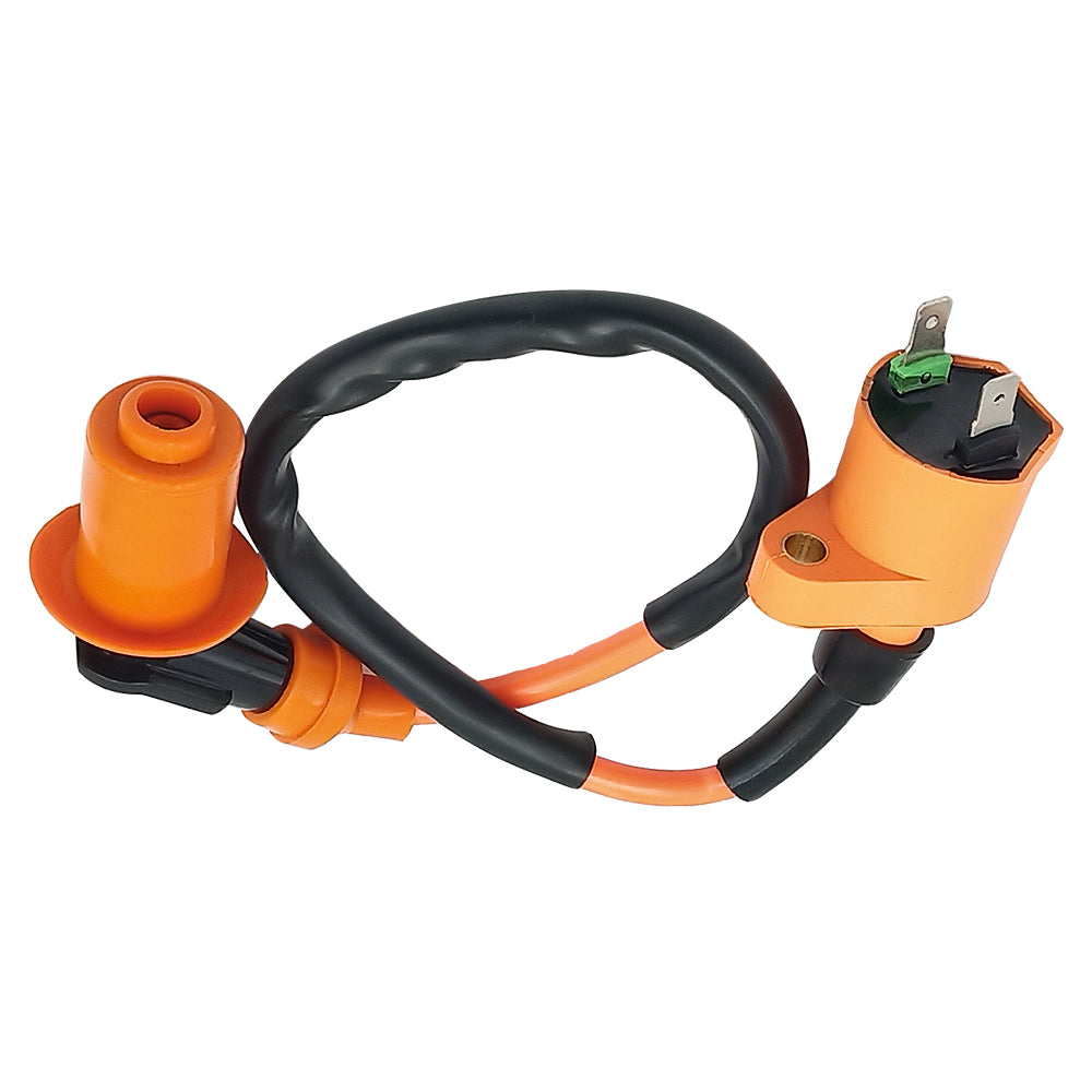 Triumilynn Ignition Coil for Honda TRX300 FOURTRAX 300 1988-2000 Replace 30510-HM5-670 4X4 2x4