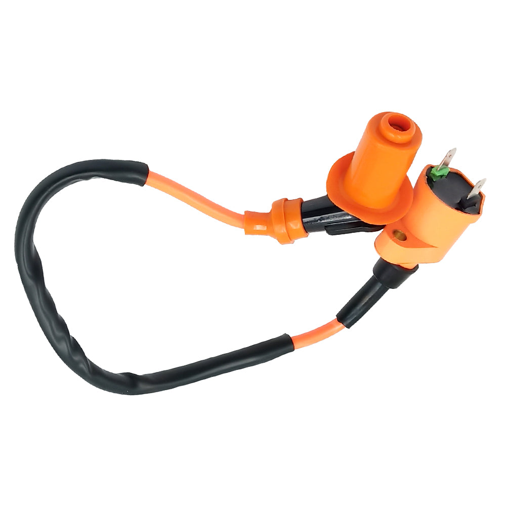 Triumilynn Ignition Coil for Honda TRX300 FOURTRAX 300 1988-2000 Replace 30510-HM5-670 4X4 2x4