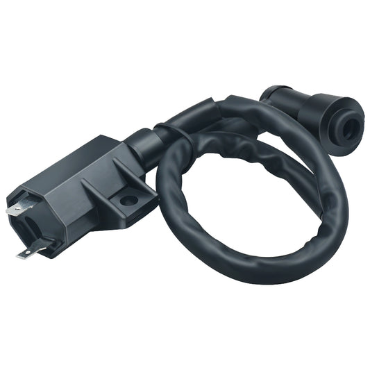 Triumilynn Ignition Coil for Kawasaki Bayou 220 KLF220 1988 1989 1990 1991-2002